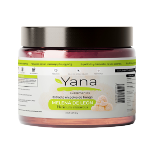Hongo Melena de León